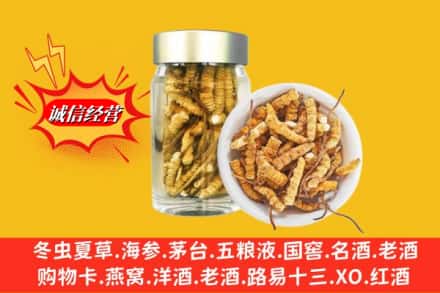 周口市西华回收散虫草
